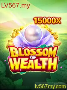 Explorando o Universo de 'BlossomofWealth': Uma Jornada Rumo à Riqueza Virtual